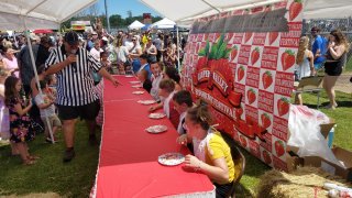 Happy Valley Strawberry Festival Pie Eating Contest