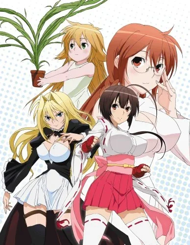 /sekirei/ Sekirei gallery