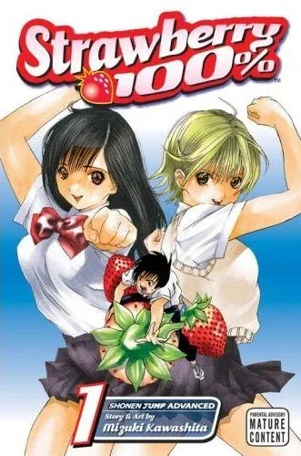 /strawberry_100/ Strawberry 100% gallery